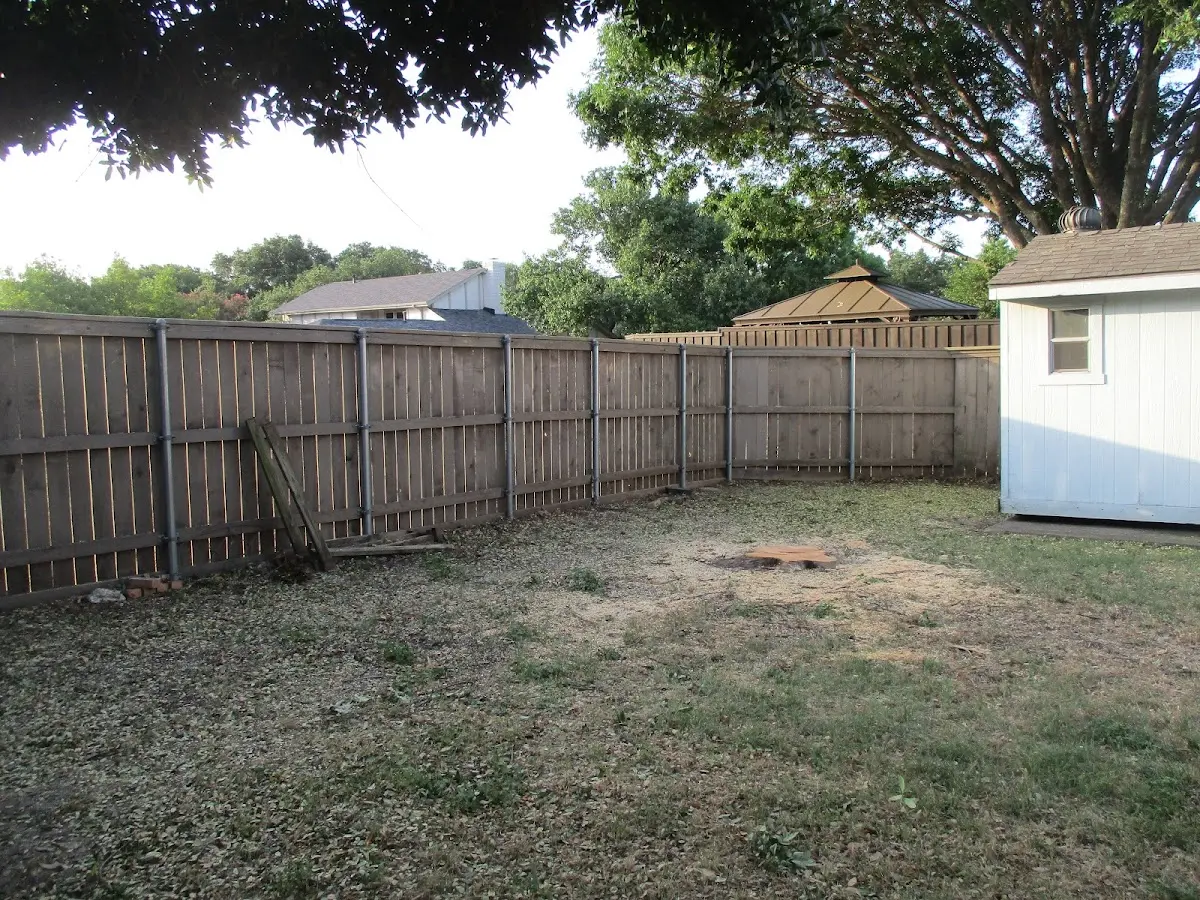 Cleared yard after professional tree removal in Statesville